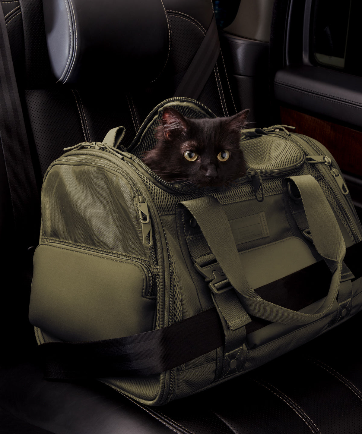Dagne Dover Large Kyoto Pet Carrier in a deep olive green displaying the two side release buckle clips to secure pet carrier to seat belt; a cat is inside the carrier. Caption: Ouija is a 7.8-lb American Longhair