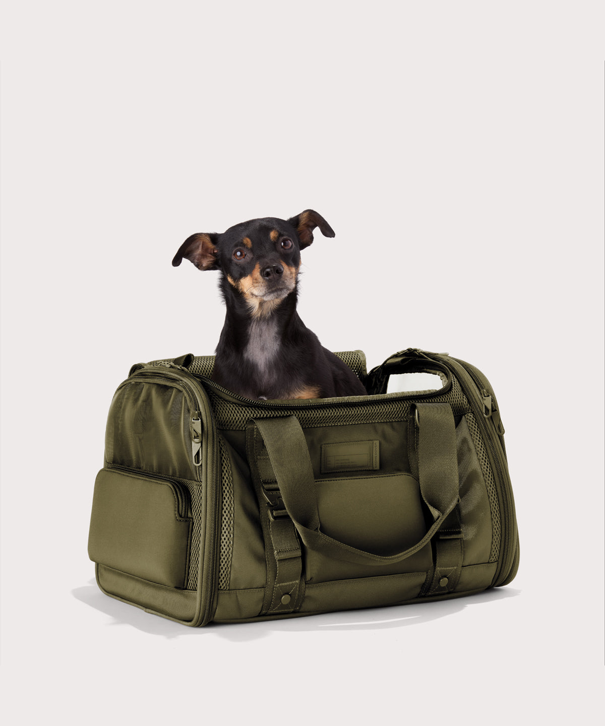 Dagne Dover Large Kyoto Pet Carrier in a deep olive green seen from an angle with a dog inside the carrier. Caption: Ocho is a 16-lb Chihuahua mix