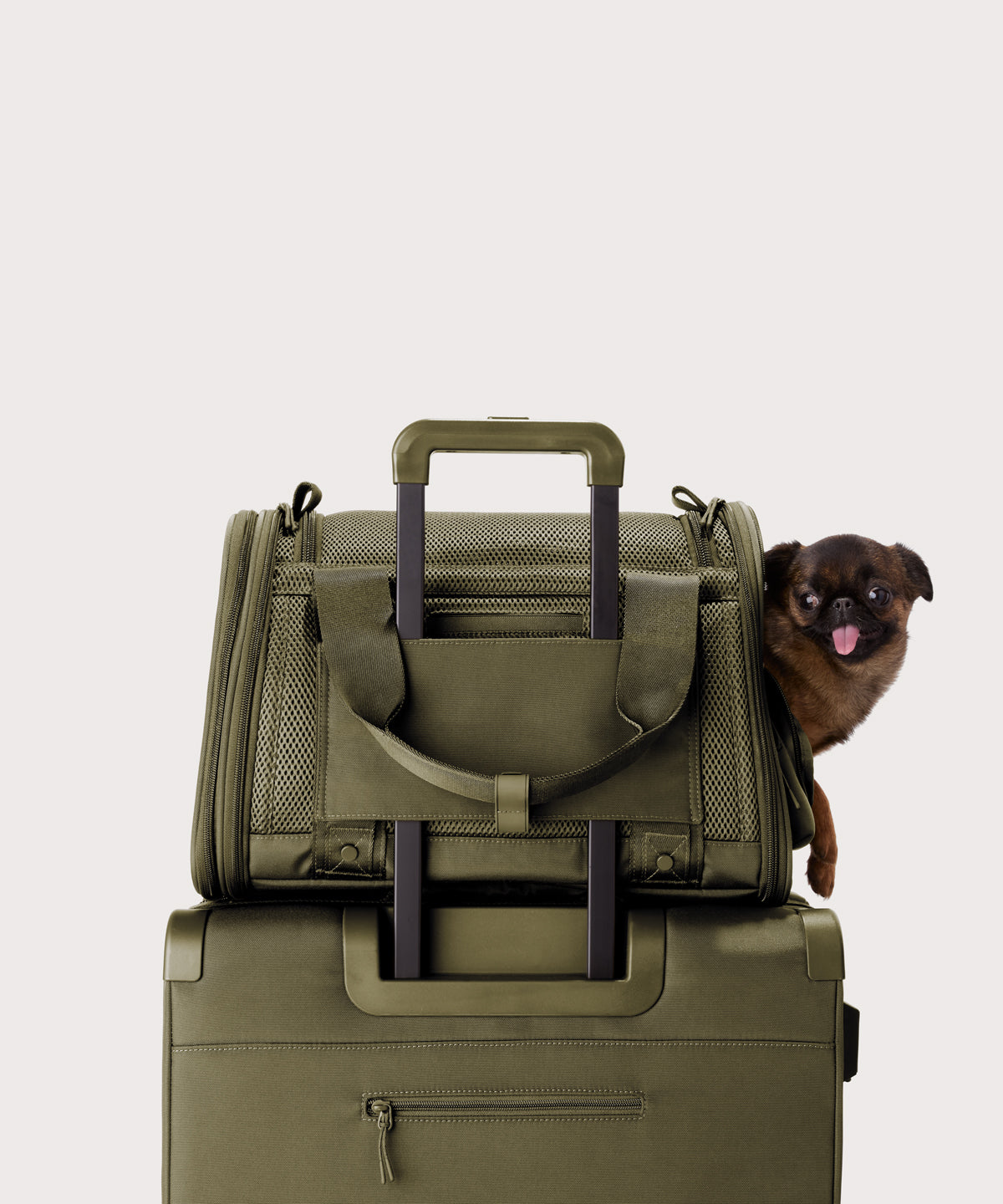 Dagne Dover small Kyoto Pet Carrier in a deep olive green displaying luggage sleeve with a dog inside the carrier.