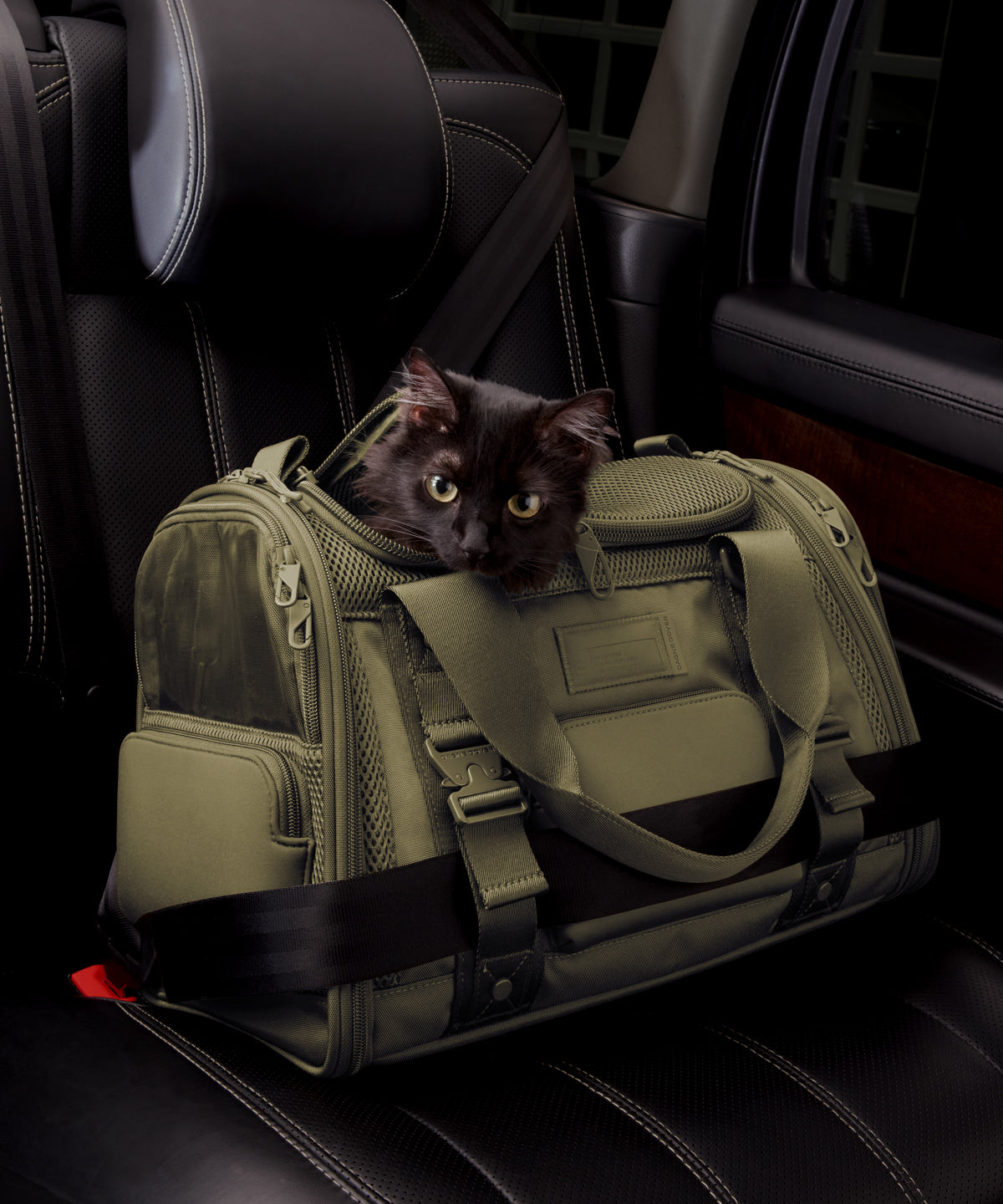 Dagne Dover small Kyoto Pet Carrier in a deep olive green displaying the two side release buckle clips to secure pet carrier to seat belt; a cat is inside the carrier. Caption: Ouija is a 7.8-lb American Longhair