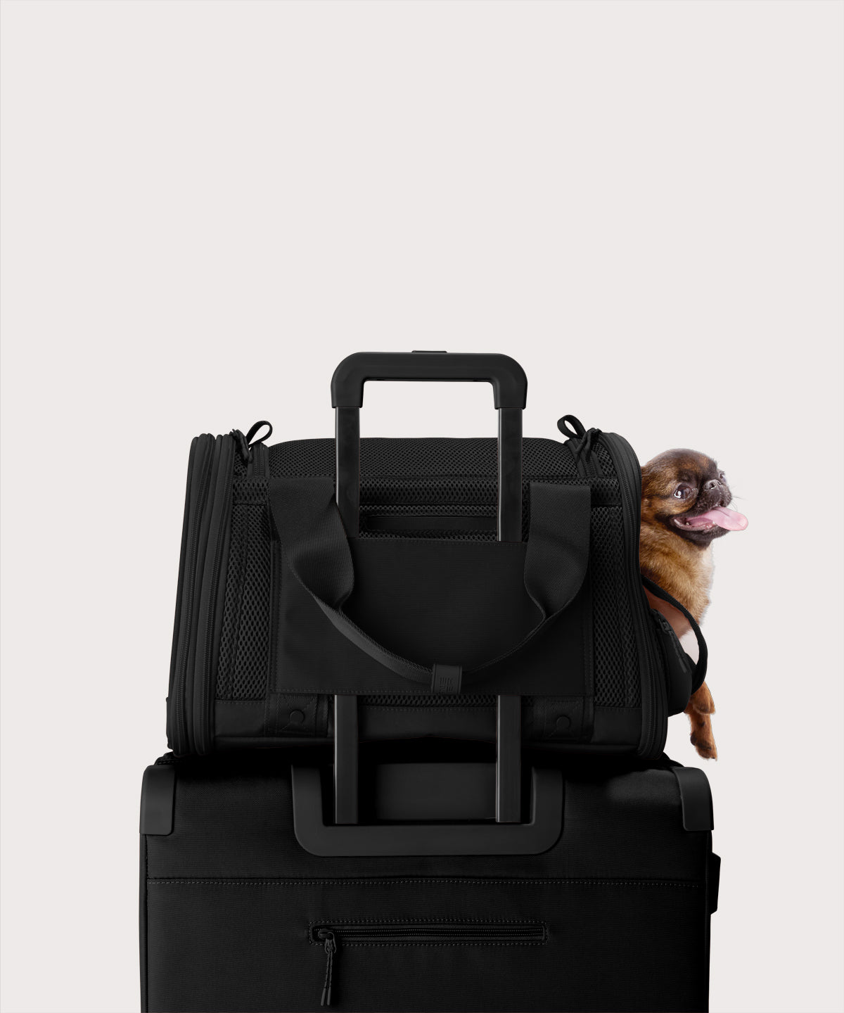Dagne Dover small Kyoto Pet Carrier in black displaying luggage sleeve with a dog inside the carrier.