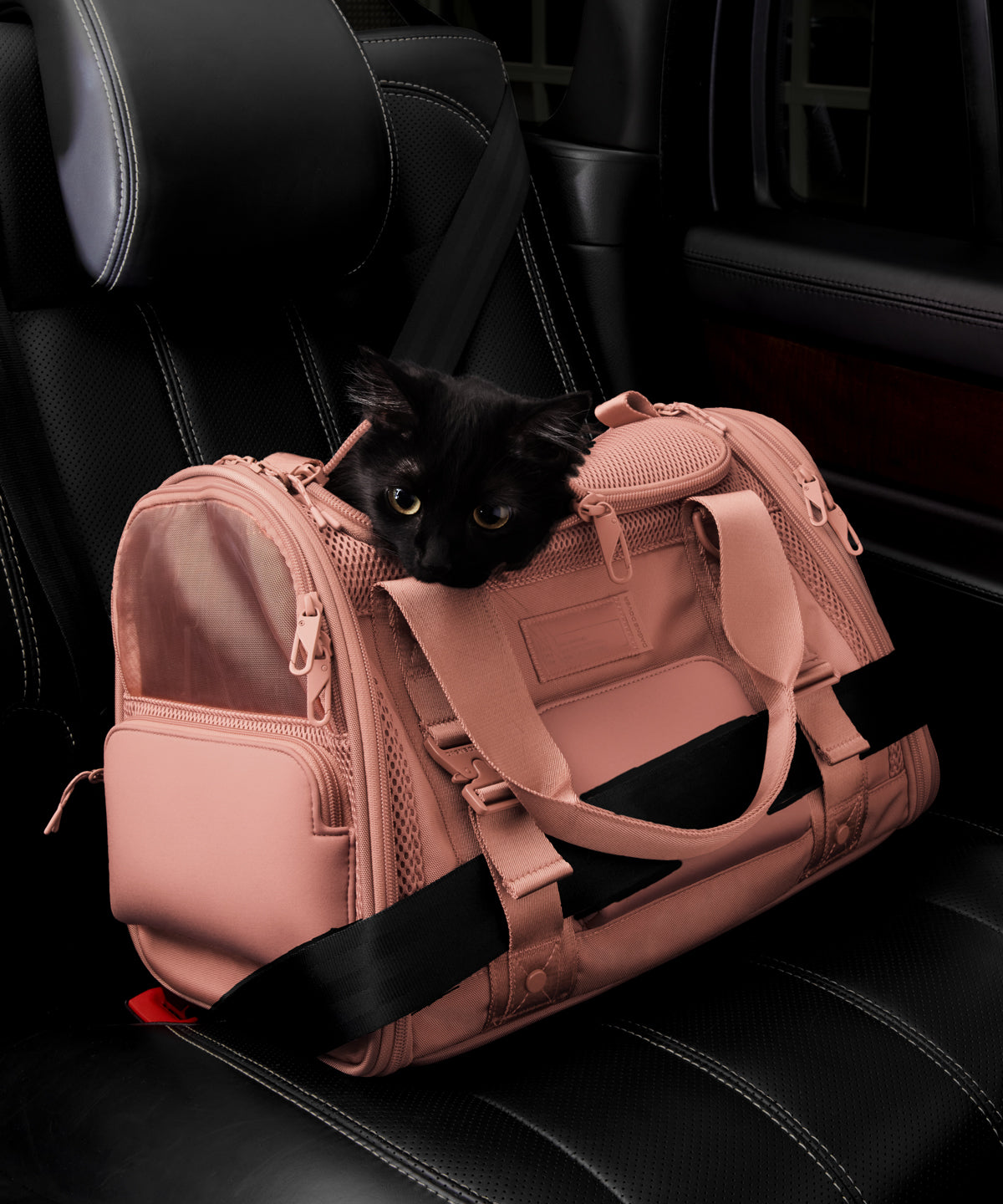 Dagne Dover small Kyoto Pet Carrier in a warm dust pink displaying the two side release buckle clips to secure pet carrier to seat belt; a cat is inside the carrier. Caption: Ouija is a 7.8-lb American Longhair